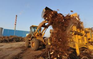 我國生物質發電穩步增長累計裝機達1488萬千瓦