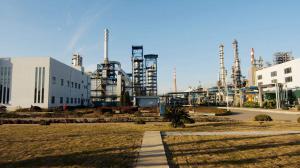 中國能建浙江火電承建的舟山石化工程7臺機組全部開工