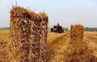 哈爾濱將建200處2兆瓦秸稈沼氣項目