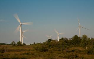 第一季度可再生能源占愛(ài)沙尼亞電力消耗的13.2％