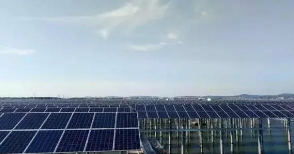 晶澳海外業務增長迅速 巴西、馬來西亞光伏電站均采用其高效單晶PERC組件