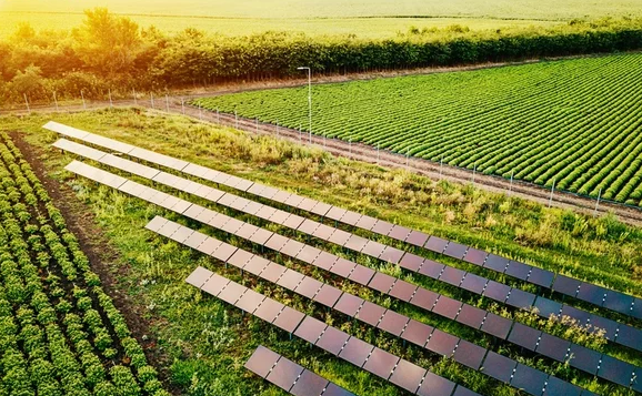 克羅地亞：太陽能農場生產動力和食物