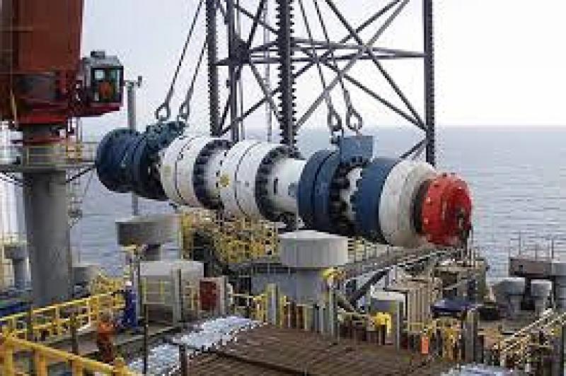 石油資源國(guó)務(wù)部長(zhǎng)告訴外國(guó)投資者尼日利亞致力于天然氣驅(qū)動(dòng)的工業(yè)化