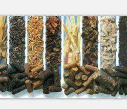 “清潔能源”木質(zhì)顆粒背后的秘密