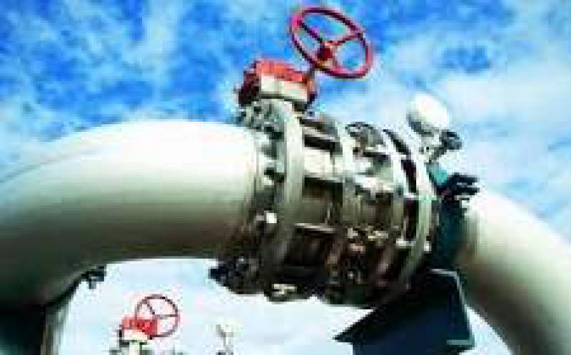 埃及石油部長埃爾瓦坦說，埃及將從1月開始出口天然氣