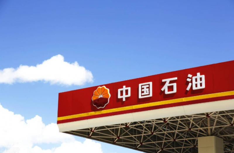 中國石油集團(tuán)董事長戴厚良會(huì)見厄瓜多爾能礦部副部長費(fèi)雷拉