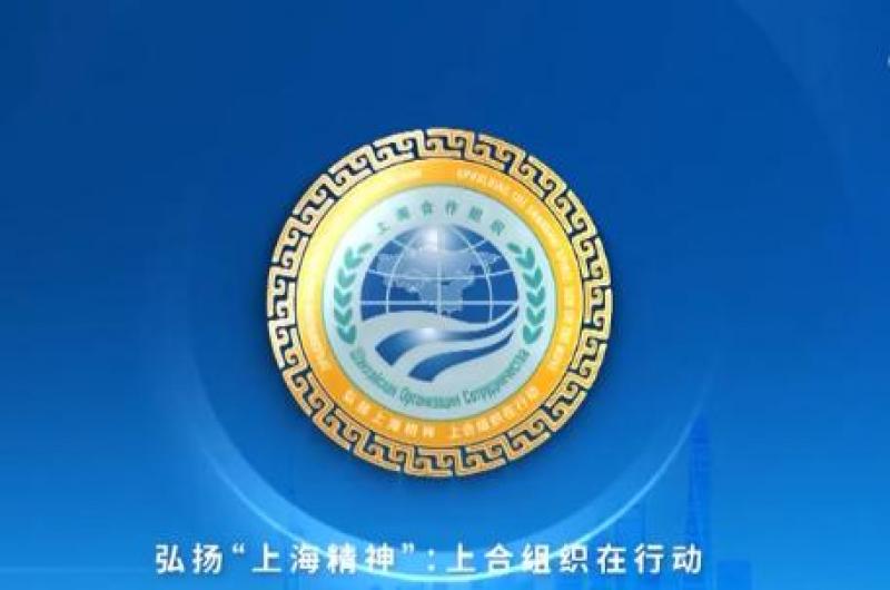 上海合作組織成員國元首理事會(huì)關(guān)于能源可持續(xù)發(fā)展的聲明