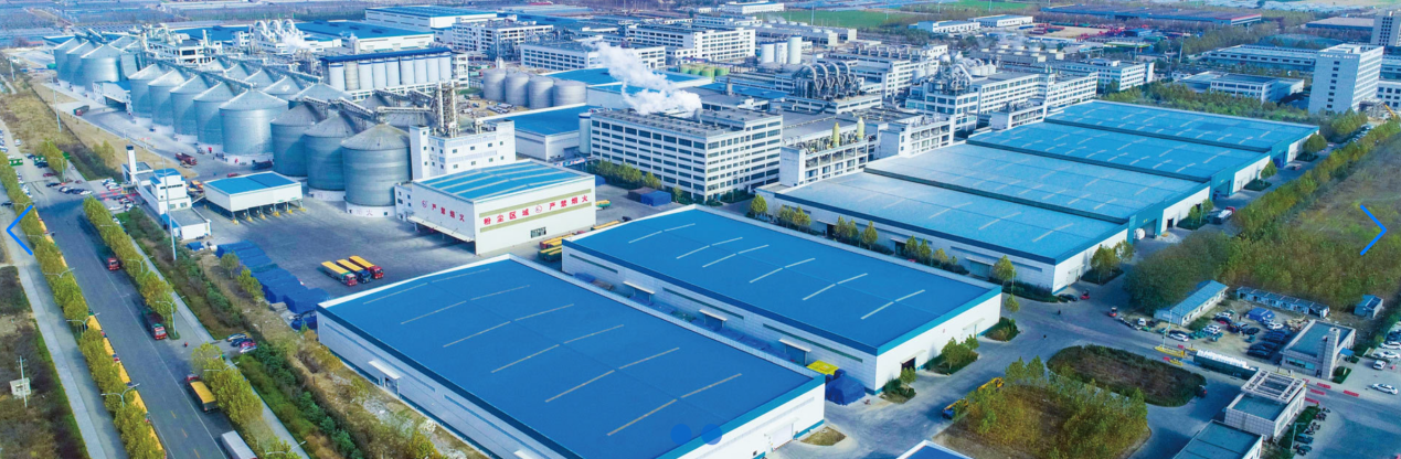 端點科技攜手金玉米，深耕農業采購“良田”